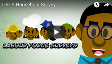 Videos Labour Force Surveys video